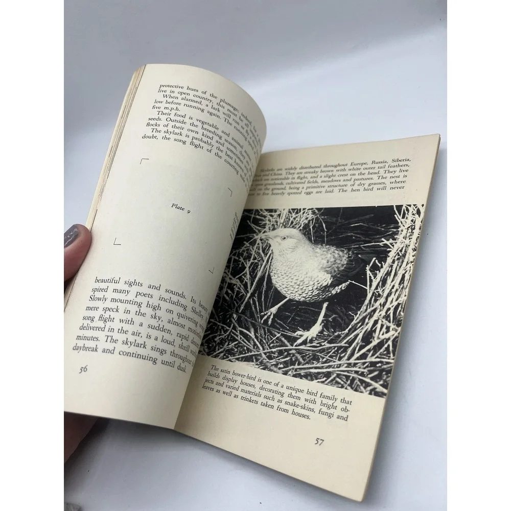Vintage Song Birds Science Program Book National Audubon Add Pictures Homeschool